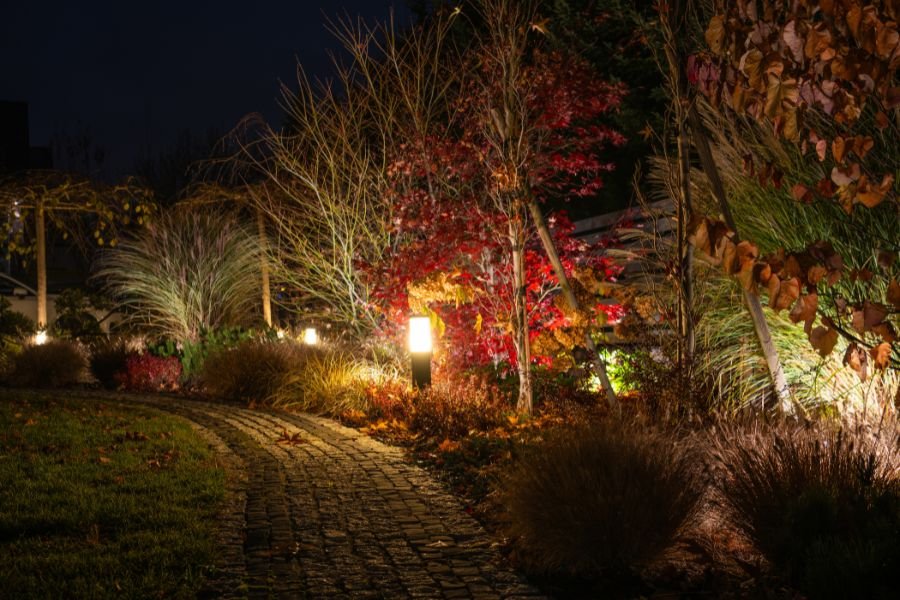 Landscape Lighting Installation (2)