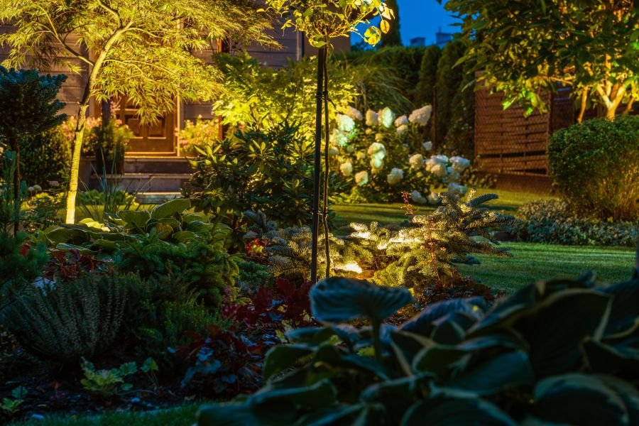 Landscape Lighting Installation