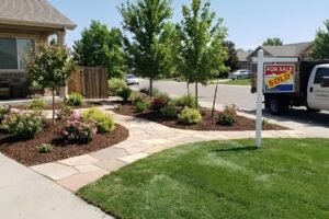 professional landscaping Commerce City CO