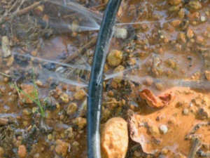 irrigation leak repair in Commerce City CO