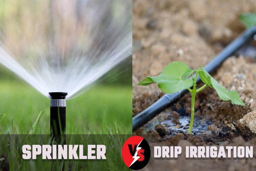 drip irrigation in Commerce City, CO